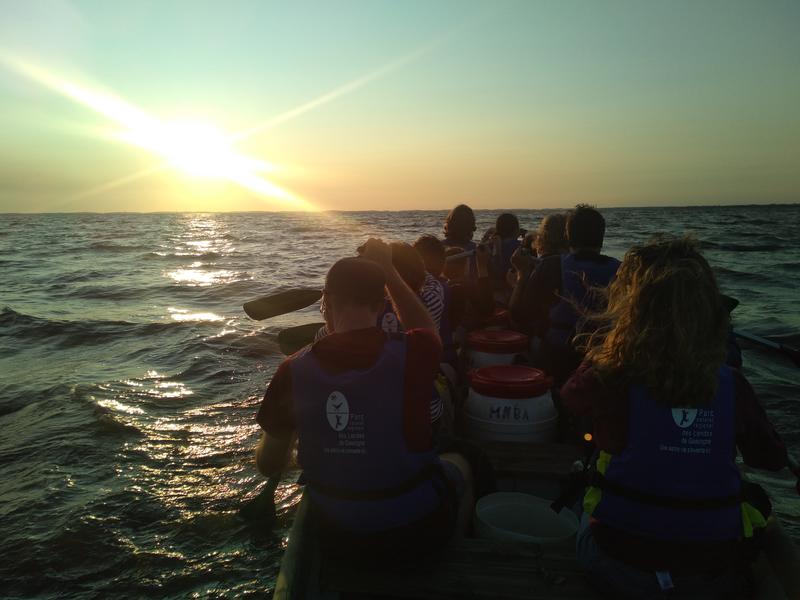 Visite guidée de la réserve ornithologique à pied et de son delta en canoë collectif