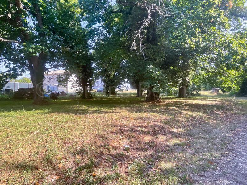 Maison de village - 220 m² - 6 pièces