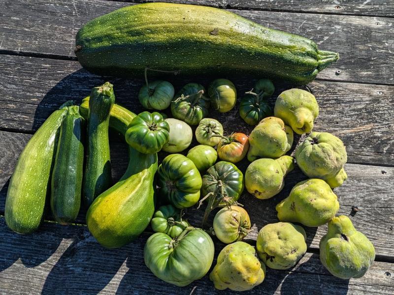Semaine de la Biodiversité - Visite du jardin du 4l café &amp; temps convivial à Cartelègue