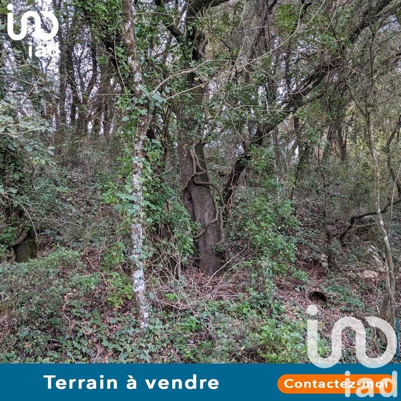Terrain - 6 525 m²