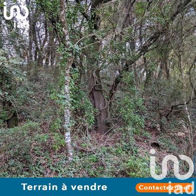 Terrain - 6 525 m²