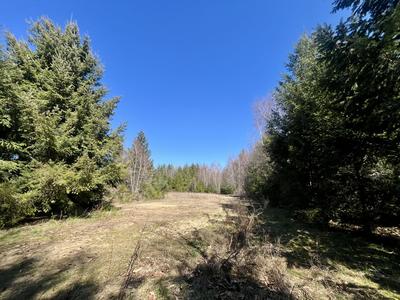 Terrain - 41 056 m²
