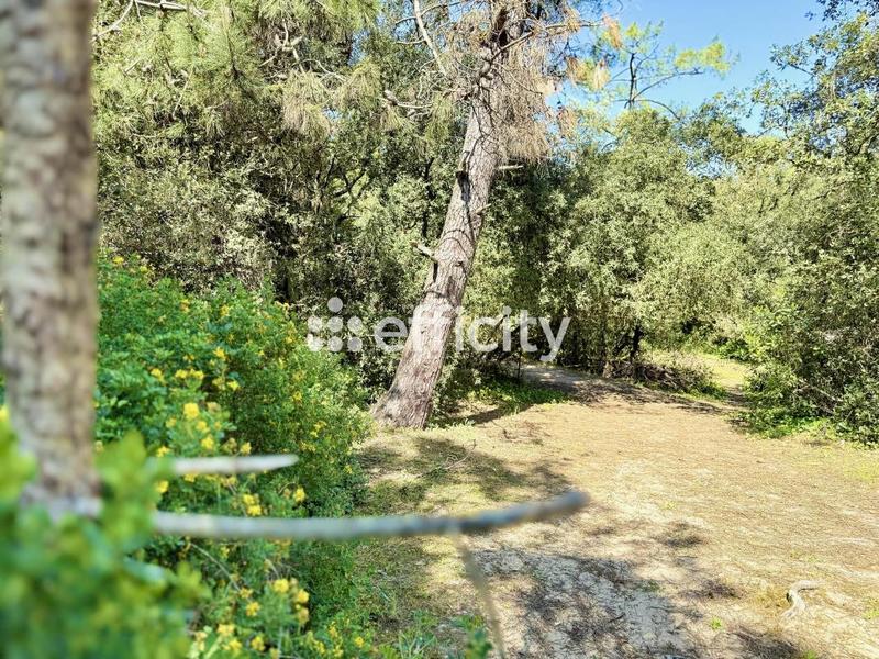 Maison - 60 m² - 3 pièces