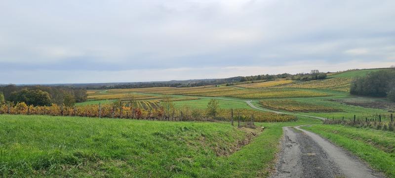 Maison de maîtres - 175 m² - 8 pièces