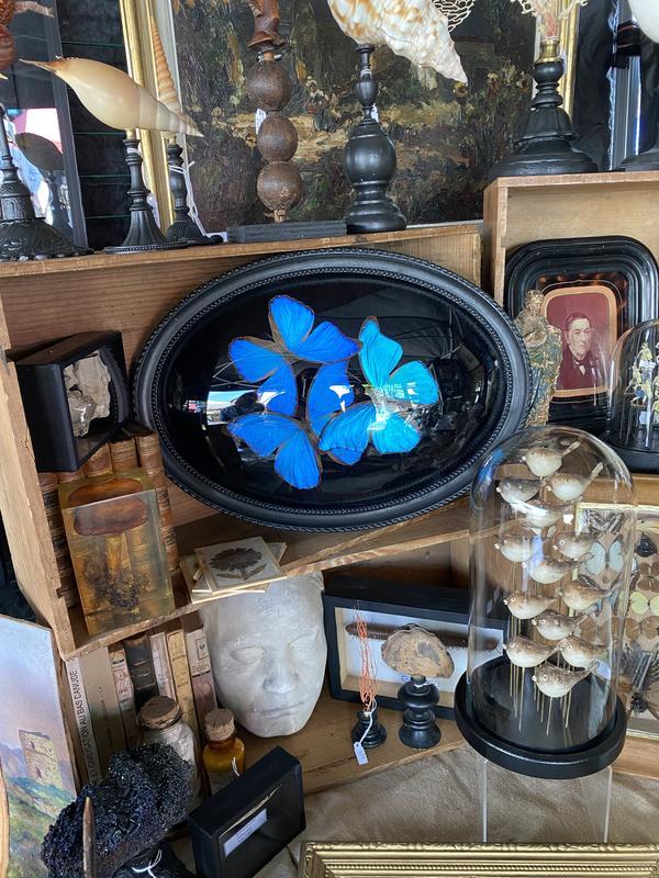 Les makilas de la brocante