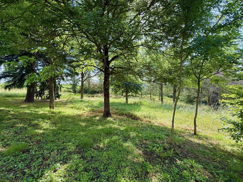 Maison ancienne - 200 m² - 10 pièces