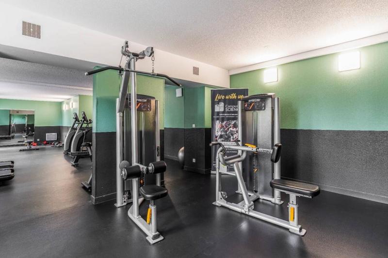 Chambre - 16 m² - 1 pièce