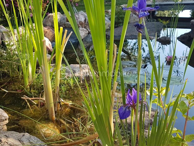 Propriété - 162 m² - 6 pièces