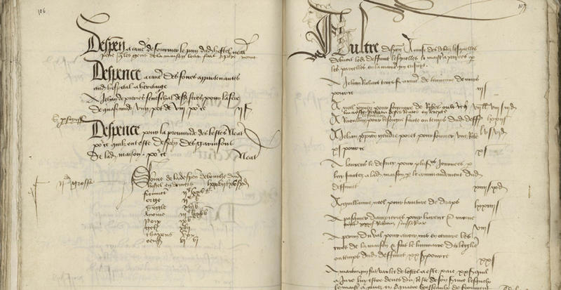 Cours de paléographie : s’initier à la lecture des écritures anciennes (Textes du XIIIe au XVe siècle)