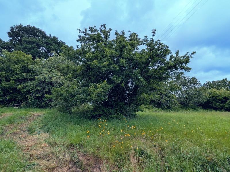 Longère - 115 m² - 5 pièces