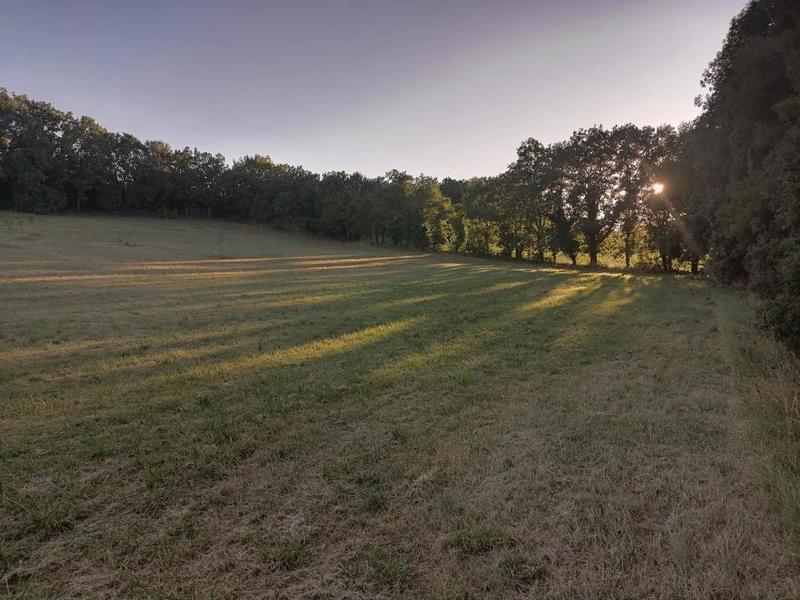 Maison en pierre - 265 m² - 9 pièces