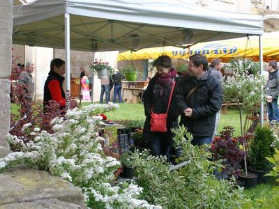 Marché de terroir