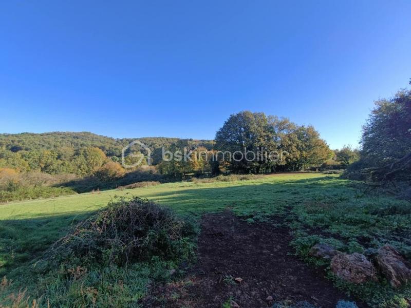 Corps de ferme - 132 m² - 3 pièces