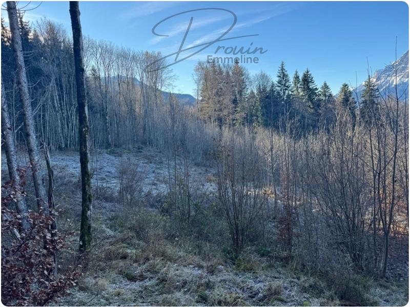 Terrain agricole - 15 405 m²