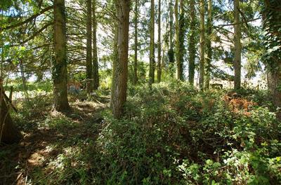 Terrain de loisirs - 2 663 m²