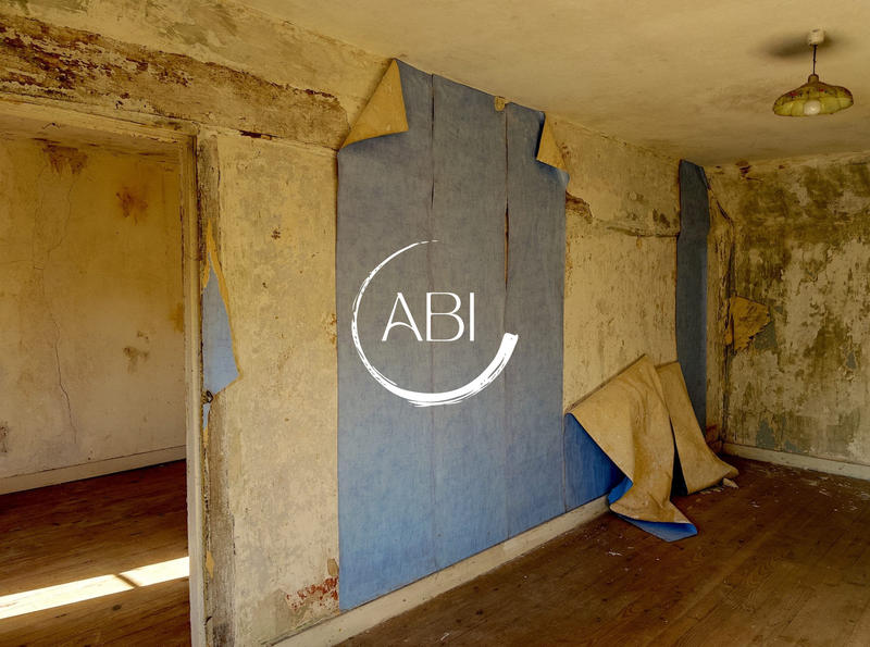 Maison ancienne - 120 m² - 5 pièces