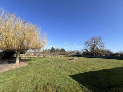 Longère - 500 m² - 8 pièces