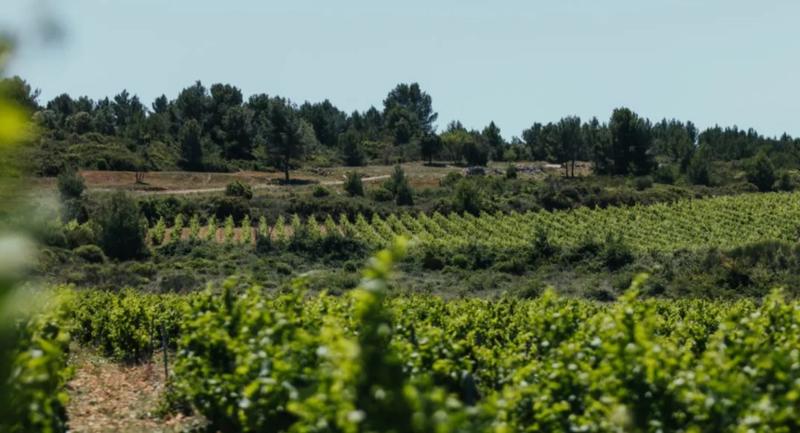 Terrain agricole - 900 m²