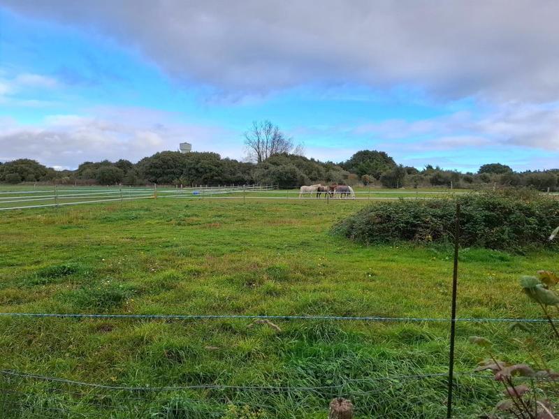 Maison - 162 m² - 7 pièces