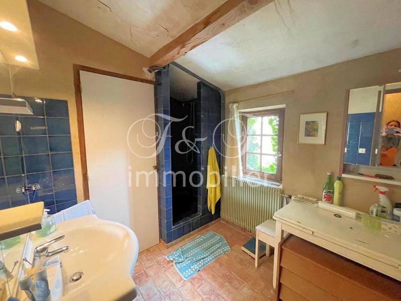 Propriété - 330 m² - 10 pièces