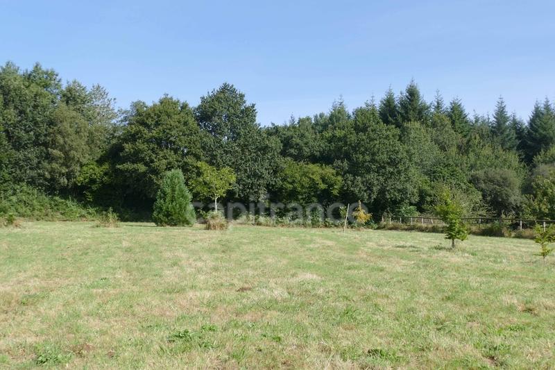 Maison - 30 m² - 2 pièces