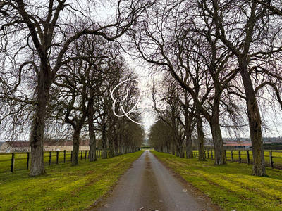 Maison - 287 m² - 10 pièces