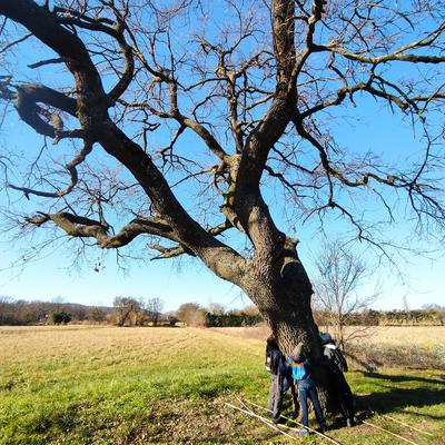 Mardi matin j'ai rando