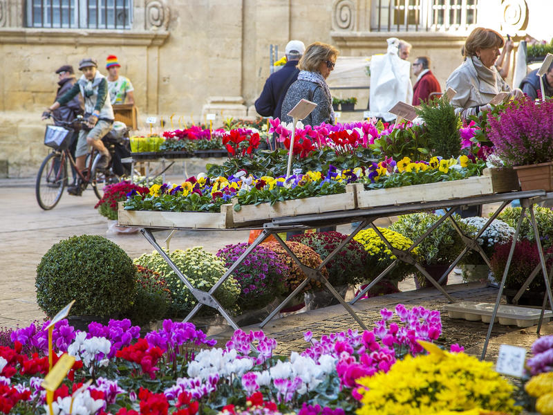 Le marché aux fleurs d'Aix-en-Provence