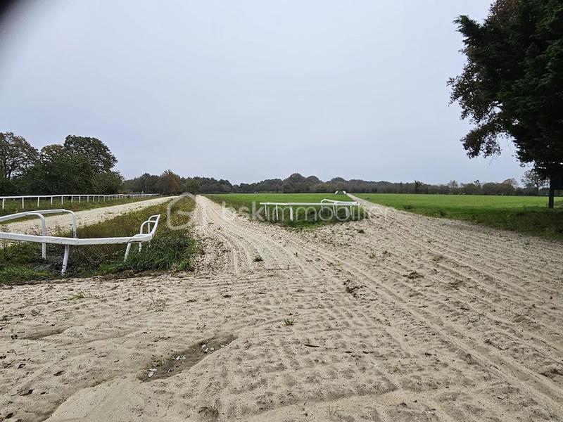 Terrain - 400 000 m²