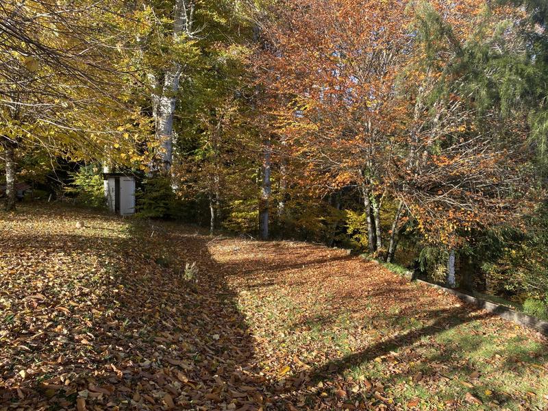 Maison ancienne - 165 m² - 8 pièces