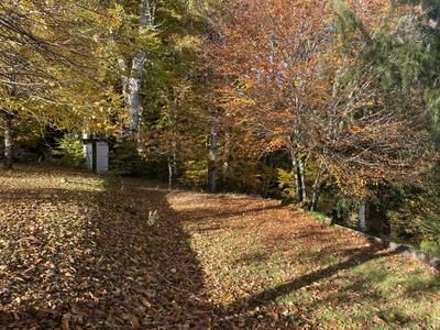 Maison ancienne - 165 m² - 8 pièces