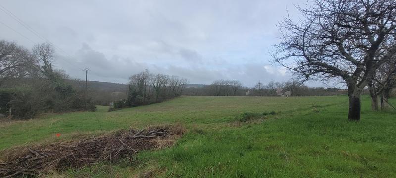 Terrain - 25 000 m²