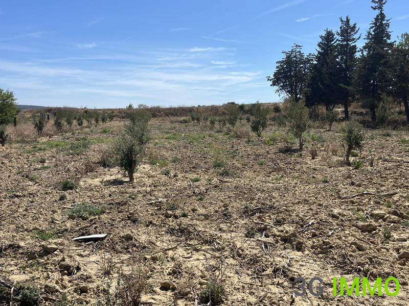 Terrain agricole - 3 341 m²