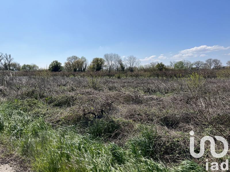 Terrain agricole - 6 585 m²