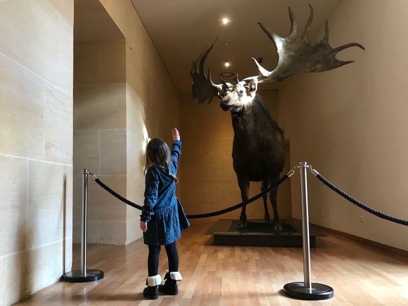 Les vacances de Noël au Musée national de Préhistoire