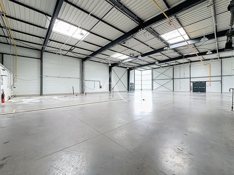 Local d'activité / Entrepôt - 800 m²