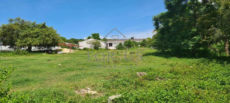 Terrain constructible - 781 m²