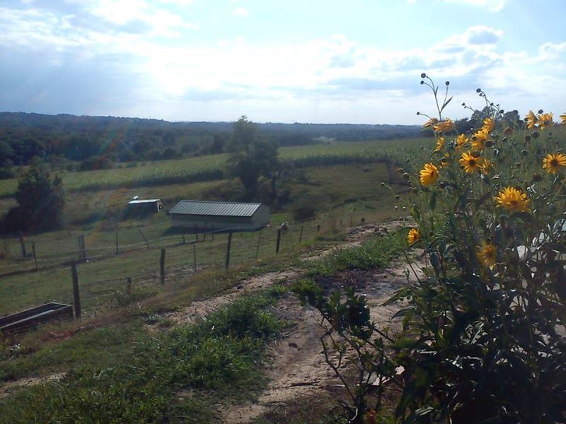 Soirée France Irlande