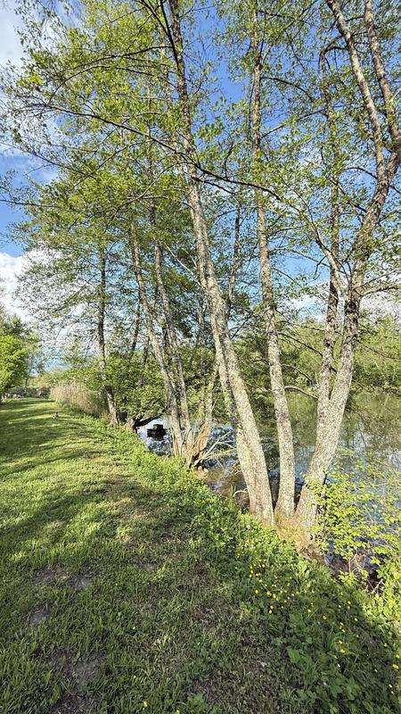 Terrain - 13 420 m²