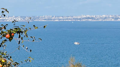 Maison - 220 m² - 11 pièces