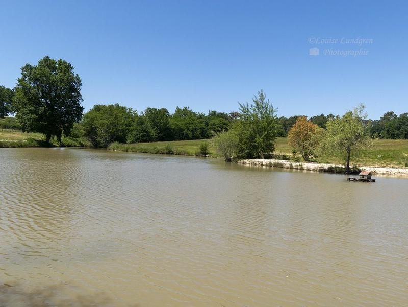 Maison - 900 m² - 20 pièces