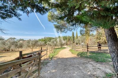 Maison de domaine équestre - 585 m² - 8 pièces