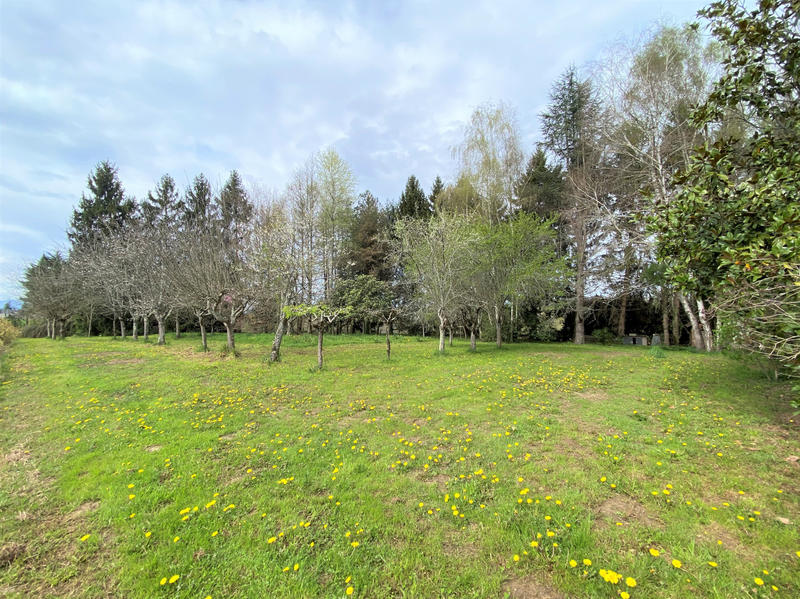 Maison - 230 m² - 8 pièces