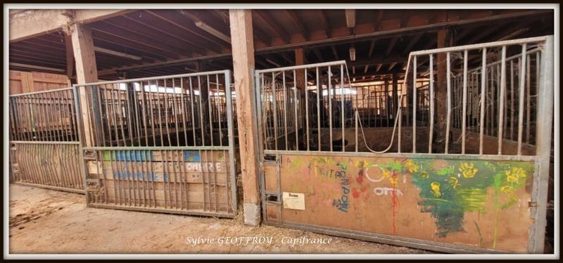 Ferme - 1 400 m² - 50 pièces