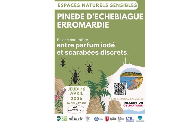 Espaces naturels sensibles de Saint-Jean-de-Luz: Pinède d'Etchebiague, entre parfum iodé et scarabées discrets.