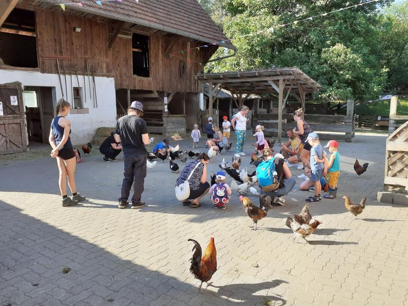 Chasse aux oeufs de Pâques