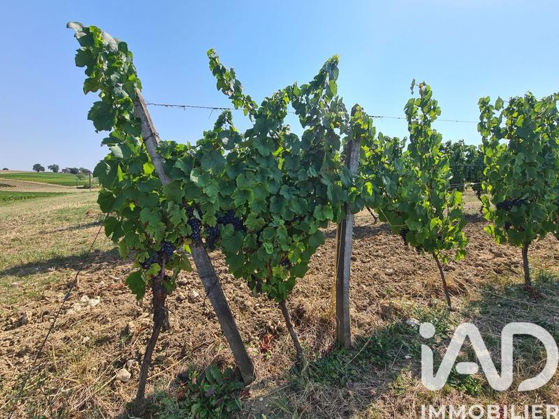 Terrain agricole - 20 497 m²