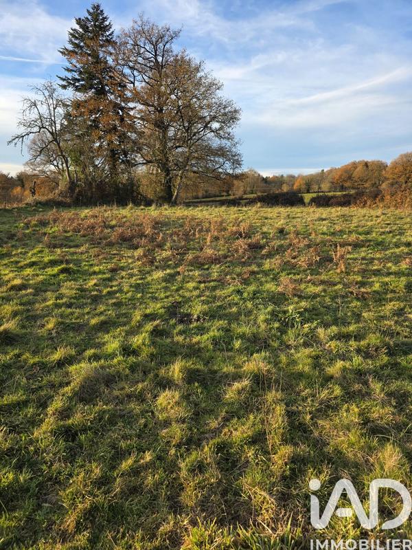 Terrain - 41 275 m²