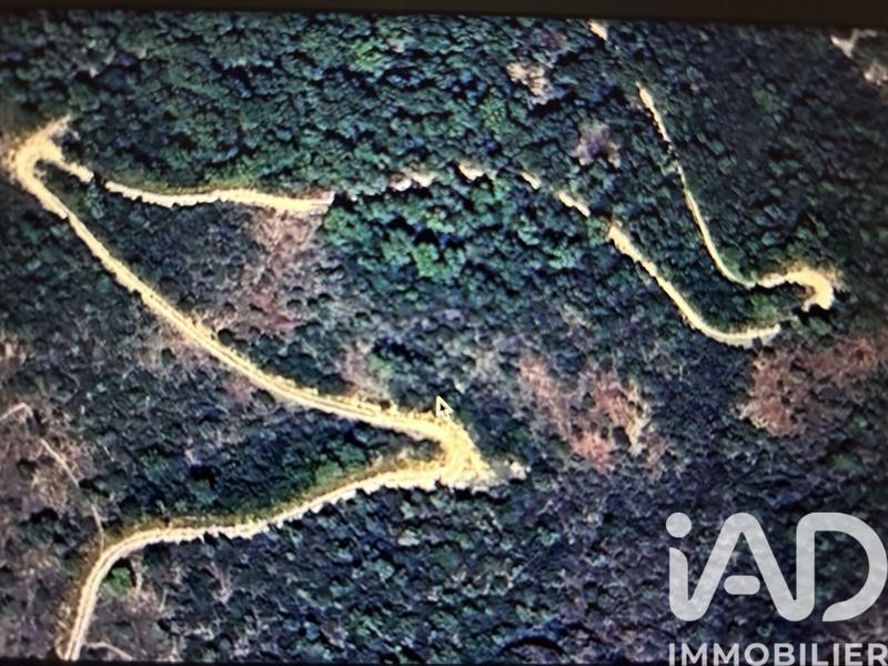 Terrain - 10 077 m²