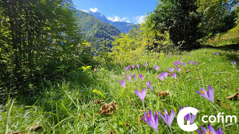 Maison ancienne - 43 m² - 2 pièces